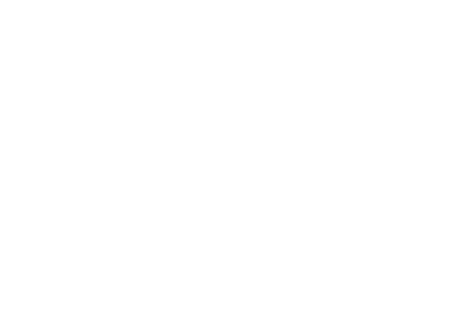 bento sousa aliado estratégico